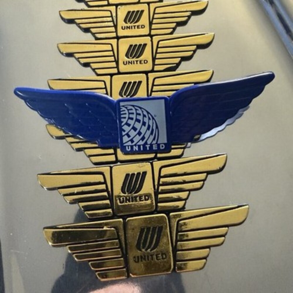 Vintage United Airlines Wings Pin And Gold Wings W/ Lanyard Lot Of 9